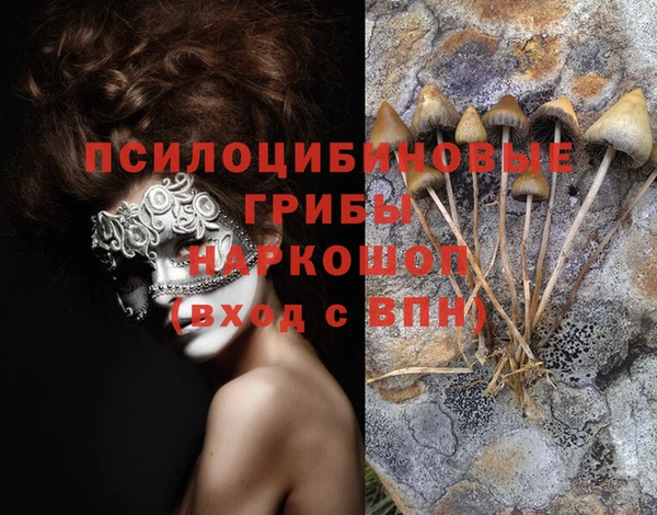 молекула духа Балахна