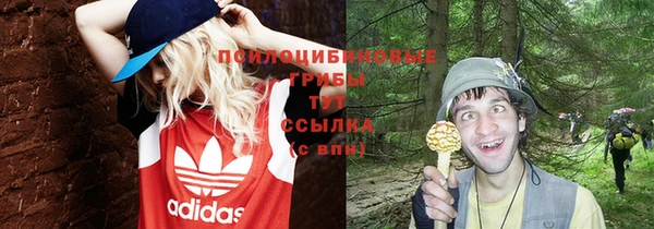 каннабис Баксан