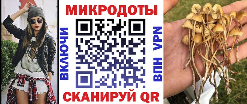Купить  Махачкала  Псилоцибиновые грибы прущие грибы 